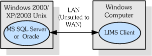 Fat Client Architecture